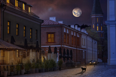 摄影 标题为“Night City” 由Ilona Kuliešienė, 原创艺术品, 数字油画