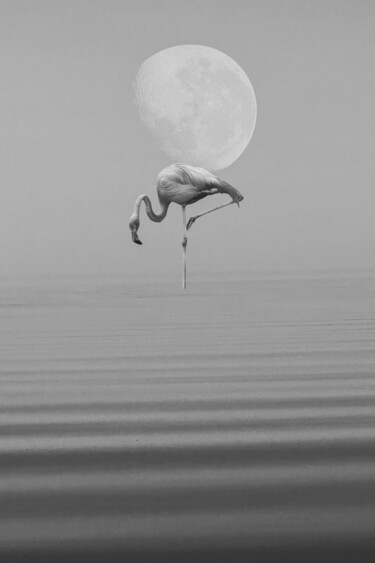 Fotografie mit dem Titel "Moon Song #17" von Ilia Mikhei, Original-Kunstwerk, Digitale Fotografie