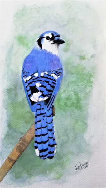 Painting titled "Gaio azul" by Inês Dourado, Original Artwork, Watercolor