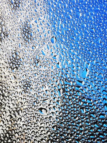 Photography titled "Fresh Dewdrops" by Ingrid Blaurock, Original Artwork, Digital Photography