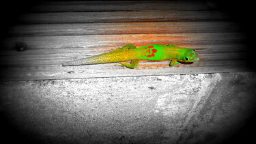 Photography titled "GECKO" by Ingrid Clergeaud, Original Artwork, Digital Photography