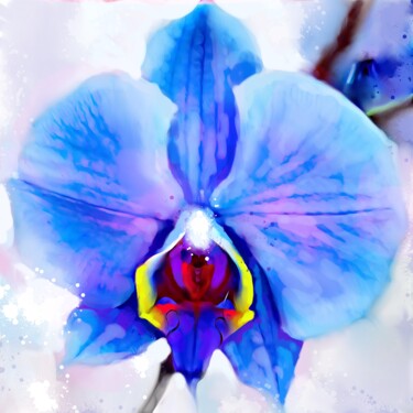 Malarstwo zatytułowany „Orchid 5” autorstwa Ira Tsantekidou, Oryginalna praca, Malarstwo cyfrowe