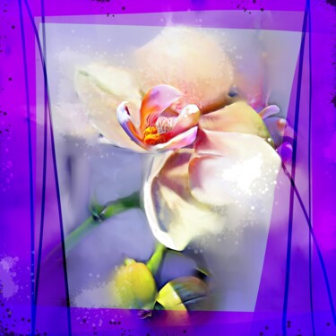 Malarstwo zatytułowany „Orchid 6” autorstwa Ira Tsantekidou, Oryginalna praca, Malarstwo cyfrowe