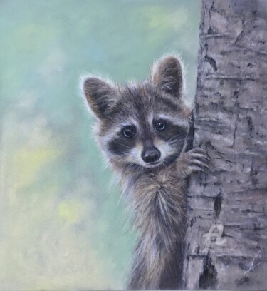 Dessin intitulée "Funny raccoon" par Irene_art, Œuvre d'art originale, Pastel