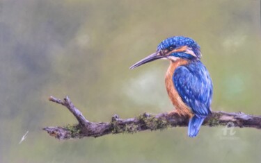 Σχέδιο με τίτλο "Kingfisher" από Irene_art, Αυθεντικά έργα τέχνης, Παστέλ