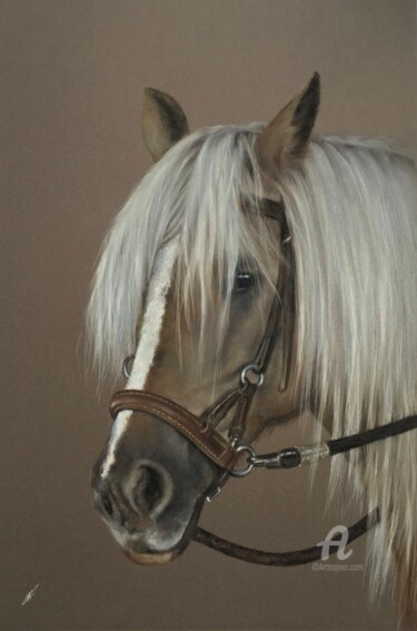 Rysunek zatytułowany „Horse” autorstwa Irene_art, Oryginalna praca, Pastel