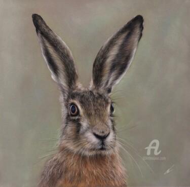 Drawing titled "Young hare" by Irene_art, Original Artwork, Pastel
