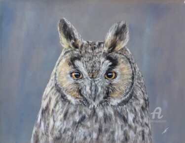 Rysunek zatytułowany „Owl” autorstwa Irene_art, Oryginalna praca, Pastel
