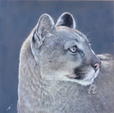 "Puma" başlıklı Resim Irene_art tarafından, Orijinal sanat, Pastel