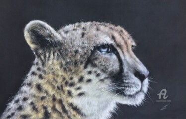 Drawing titled "Cheetah" by Irene_art, Original Artwork, Pastel