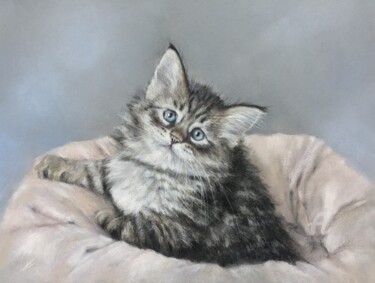 Drawing titled "Kitten portrait" by Irene_art, Original Artwork, Pastel