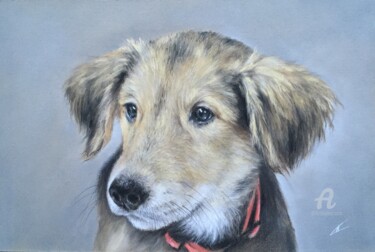 Drawing titled "Small doggy" by Irene_art, Original Artwork, Pastel