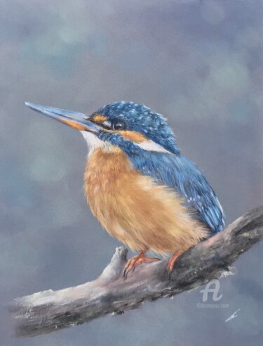 제목이 "Kingfisher portrait"인 그림 Irene_art로, 원작, 파스텔