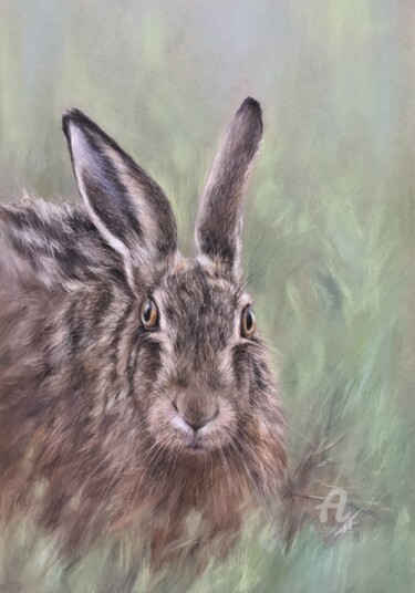 图画 标题为“British brown hare” 由Irene_art, 原创艺术品, 粉彩