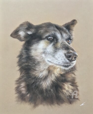 Картина под названием "Very clever dog" - Irene_art, Подлинное произведение искусства, Пастель