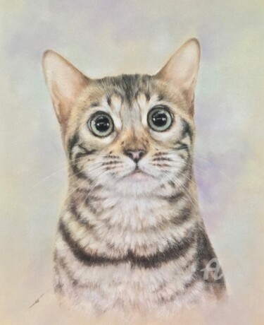 Zeichnungen mit dem Titel "Baby bengal" von Irene_art, Original-Kunstwerk, Pastell