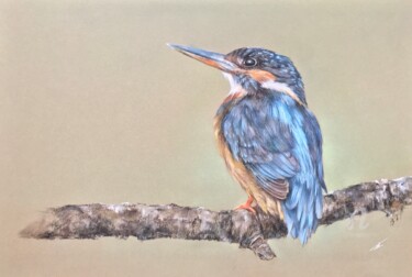 Desenho intitulada "Bird portrait" por Irene_art, Obras de arte originais, Pastel