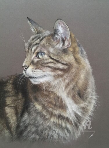 Drawing titled "Cat." by Irene_art, Original Artwork, Pastel