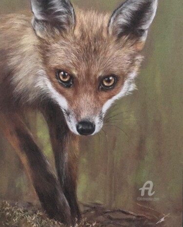 Drawing titled "Curious fox" by Irene_art, Original Artwork, Pastel