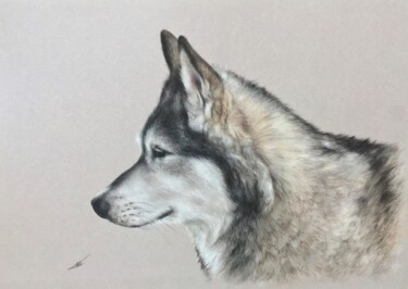 Dibujo titulada "Wolfdog" por Irene_art, Obra de arte original, Pastel