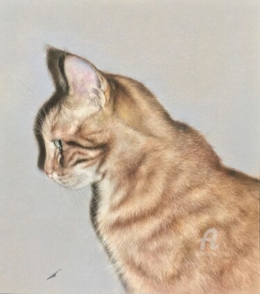 Drawing titled "Cat and his shadow" by Irene_art, Original Artwork, Pastel