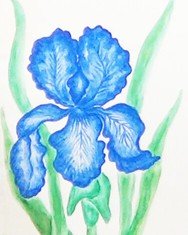 Pintura titulada "Blue iris 2" por Irina Afonskaya, Obra de arte original, Acuarela