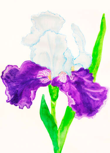 Картина под названием "Iris of violet and…" - Irina Afonskaya, Подлинное произведение искусства, Акварель