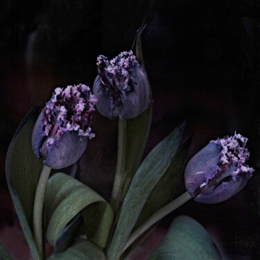 Fotografie getiteld "New Year tulips" door Irina Dotter, Origineel Kunstwerk, Gemanipuleerde fotografie