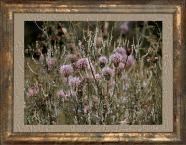 Fotografia zatytułowany „Clover et Veronica” autorstwa Irina Dotter, Oryginalna praca, Manipulowana fotografia Zamontowany n…