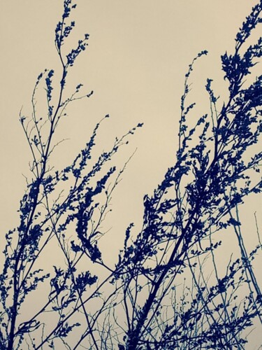 Картина под названием "Дуновение ветра" - Irina Kromm, Подлинное произведение искусства, Цифровая фотография Установлен на Д…