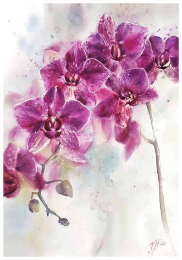 Peinture intitulée "Orchid queen. Flowe…" par Irina Pronina, Œuvre d'art originale, Aquarelle