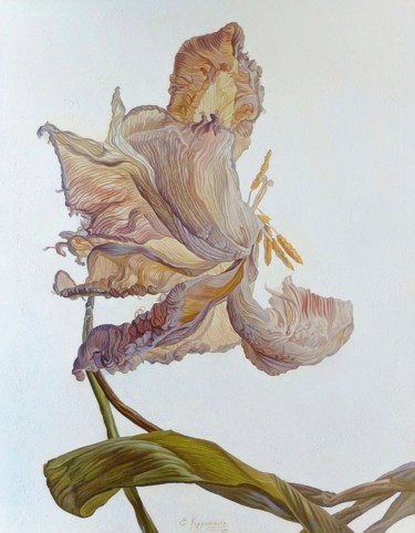 Painting titled "Beautiful Flower" by Irini Karpikioti, Original Artwork, Oil
