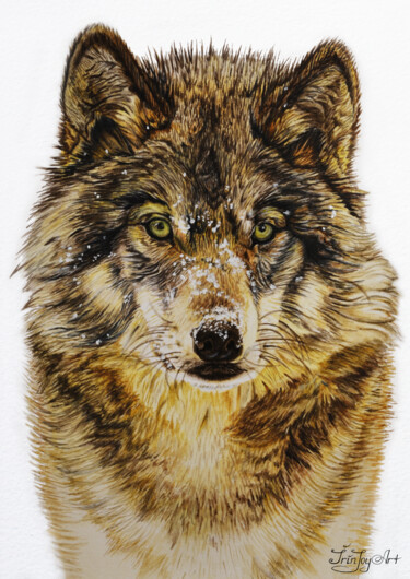 Painting titled "Wolf Dog Husky Coyo…" by Irinjoyart, Original Artwork, Watercolor