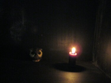 Fotografia intitulada "Owl ( Dark room ser…" por Irvin Grassi, Obras de arte originais, Fotografia digital