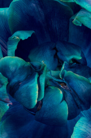 Fotografía titulada "blue-green" por Iryna Domashenko, Obra de arte original, Fotografía no manipulada Montado en Aluminio