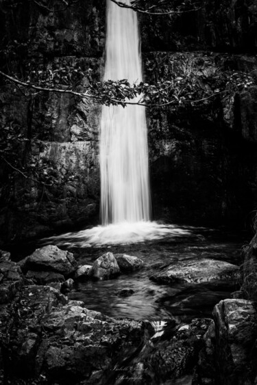 "Source" başlıklı Fotoğraf Isabelle Pautrot tarafından, Orijinal sanat, Dijital Fotoğrafçılık