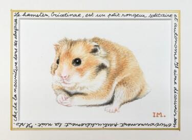 Pittura intitolato "Hamster" da Isabelle Molinard, Opera d'arte originale, Acquarello