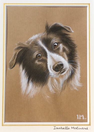 Painting titled "Border collie" by Isabelle Molinard, Original Artwork, Watercolor