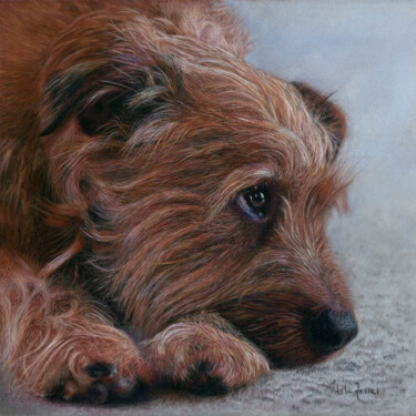 Schilderij getiteld "Milo" door Isla Ferrer, Origineel Kunstwerk, Pastel Gemonteerd op Andere stijve panelen