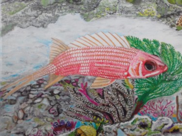 "squirrel fish" başlıklı Tablo Ita Mercera tarafından, Orijinal sanat, Akrilik
