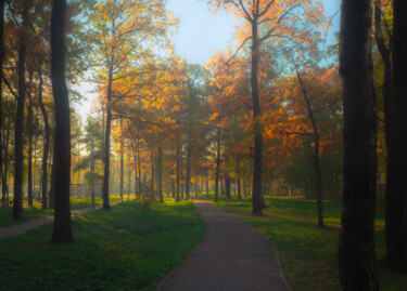 Fotografia intitulada "Autumn morning in t…" por Iurii Baklykov, Obras de arte originais, Fotografia digital