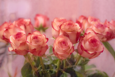 摄影 标题为“Rose roses” 由Iurii Baklykov, 原创艺术品, 数码摄影