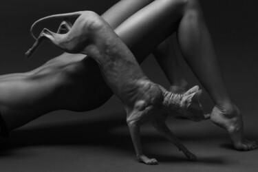 Фотография под названием "Pussys 2" - Ivan Cheremisin, Подлинное произведение искусства, Цифровая фотография