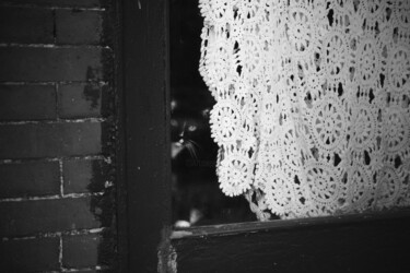 摄影 标题为“Black Cat” 由Ivan Cordoba, 原创艺术品, 数码摄影