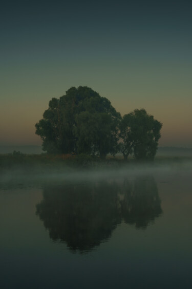 Photographie intitulée "Lonely tree by the…" par Ivan Ponomarevsky, Œuvre d'art originale, Photographie numérique