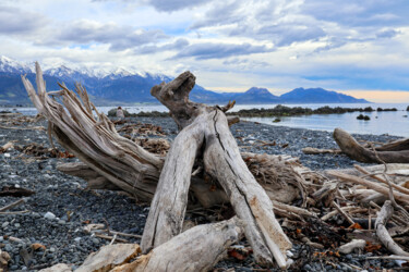 Fotografia intitolato "Wood on the beach" da J. Alfred Lindenthal, Opera d'arte originale, Fotografia digitale