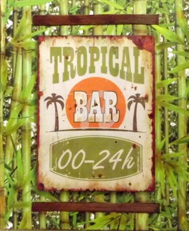 拼贴 标题为“Ambiance tropicale” 由Jacqueline Morandini, 原创艺术品, 拼贴 安装在木质担架架上