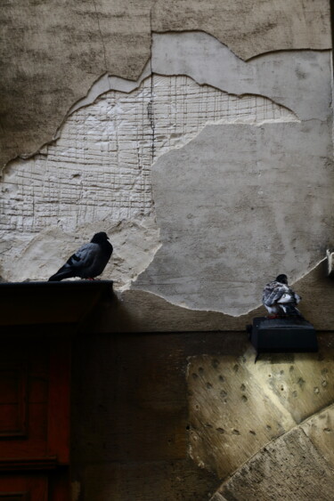 Φωτογραφία με τίτλο "Parisian pigeons -…" από Jacques Jégo, Αυθεντικά έργα τέχνης