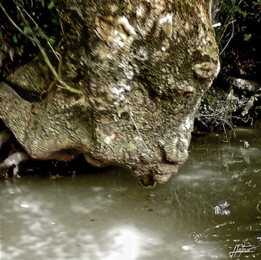 Photographie intitulée "Le baiser sur l'eau" par Jacques Lateur, Œuvre d'art originale, Photographie numérique