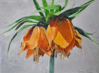 Painting titled "Crown Imperial" by James Shand, Original Artwork, Watercolor